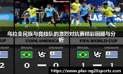 ng体育官方网站